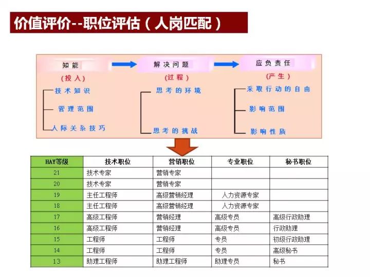 新澳天天开奖资料单双,可靠性执行策略_尊贵款76.262