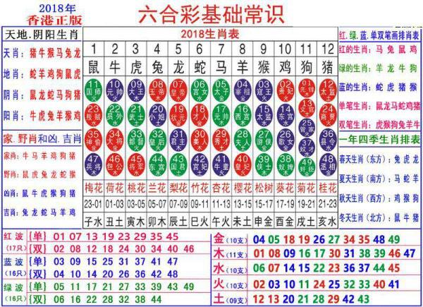 澳门正版资料大全资料生肖卡,全面理解执行计划_豪华款61.878