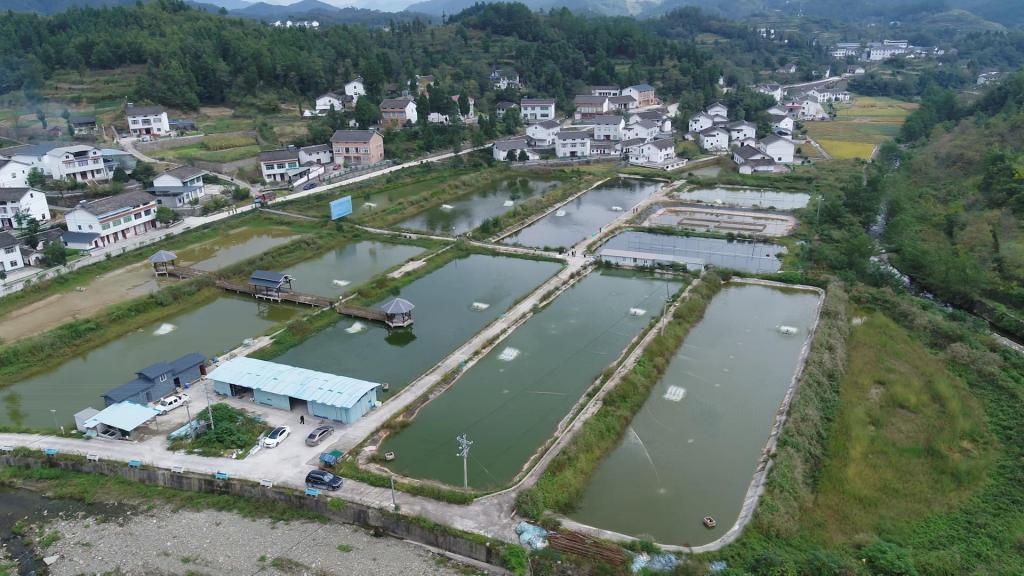 羊木镇社区最新发展规划概览