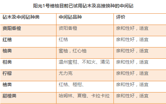 新澳六开奖结果资料查询,定性说明解析_豪华版37.124