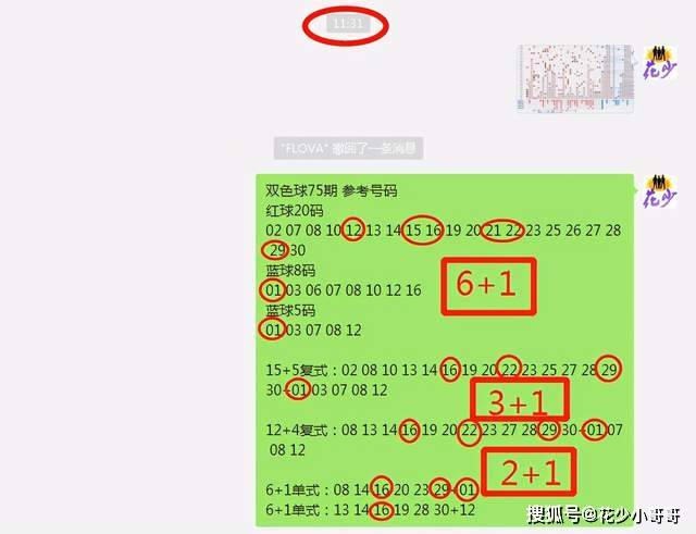 白小姐今晚特马期期准六,专业调查解析说明_8DM98.88