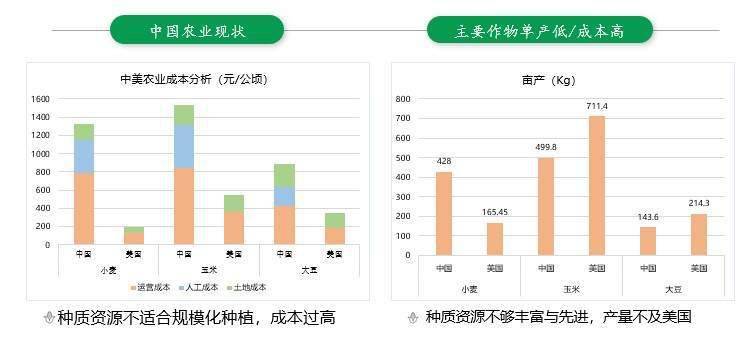 2024新奥天天彩免费资料,数据驱动决策执行_增强版32.96