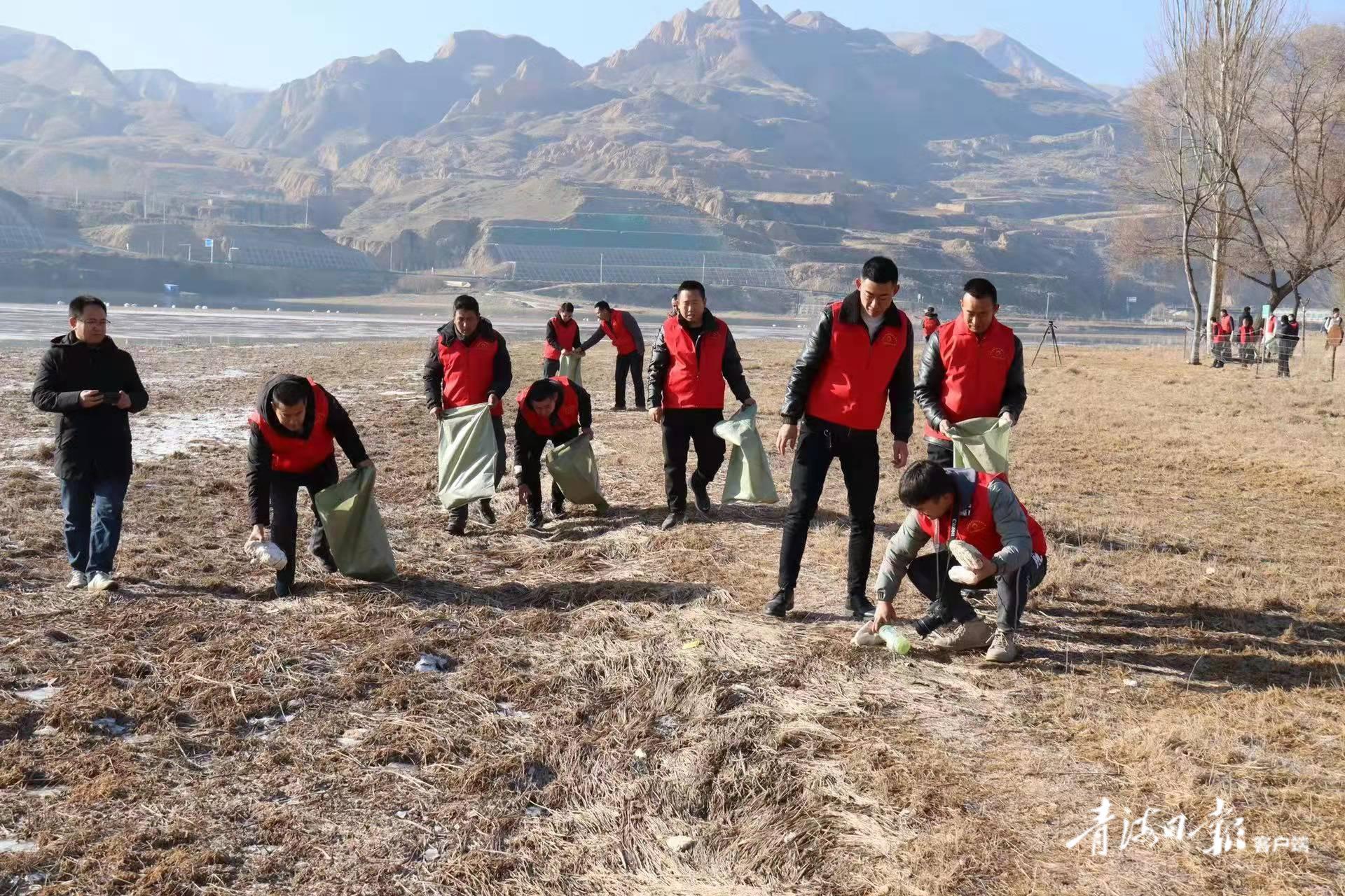 天鹅湖村重塑乡村魅力，引领未来新篇章