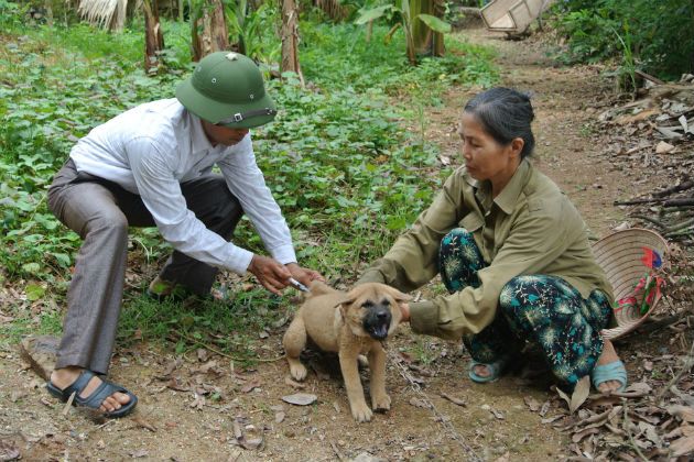 男子被狗咬伤致狂犬病发作死亡，悲剧背后的警示与反思