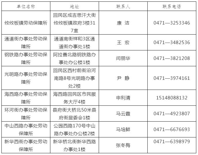 回民区交通运输局最新招聘启事概览