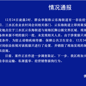 近百只猫水塘溺死事件引发反思与警示