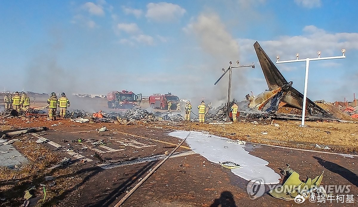 韩国飞机降落起火事件，181人紧急撤离纪实