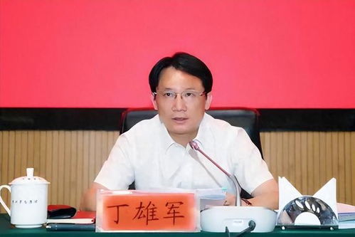 茅台原董事长丁雄军被查，背后真相与启示探究