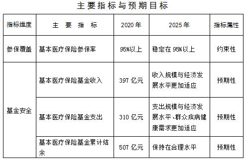 平邑县医疗保障局未来发展规划展望