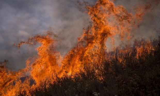 洛杉矶山火亲历者的灾难体验与感悟，山火中的生死瞬间