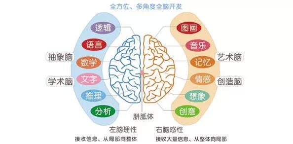 探究单一意识的神秘之源，为何正常人大脑仅诞生一个意识？