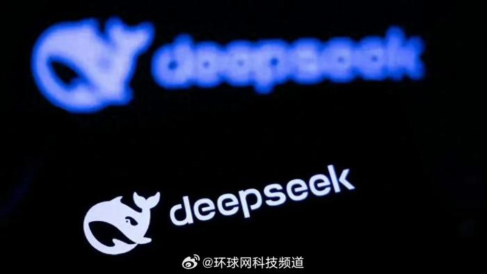 DeepSeek引发广东AI热议，网友热议不断