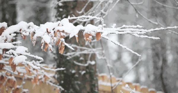 新一轮大范围雨雪来袭，影响及应对策略