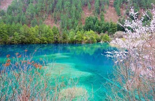 九寨沟景区推出优惠，40岁以上游客免费畅游九寨沟