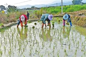 元江哈尼族彝族傣族自治县住建局领导团队简介