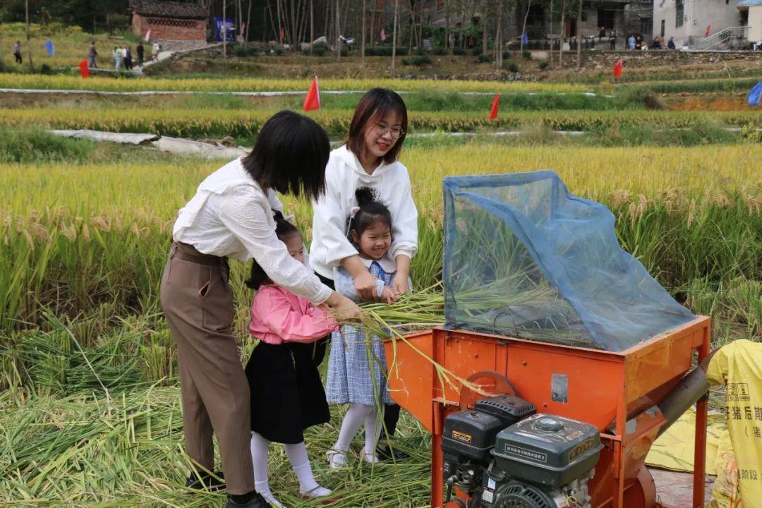 丰收乡全新发展规划展望