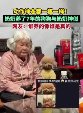 家庭印记，奶奶抚养下的毛孩子成长之路