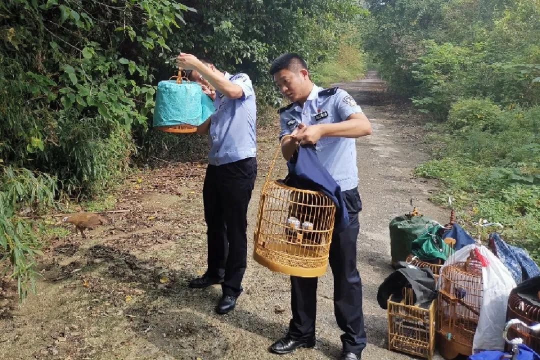 西塞山区市场监督管理局领导团队全新亮相，未来工作展望与期待