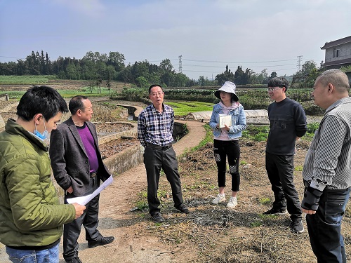 邛崃市农业农村局新项目引领农业现代化，乡村振兴再添新动力