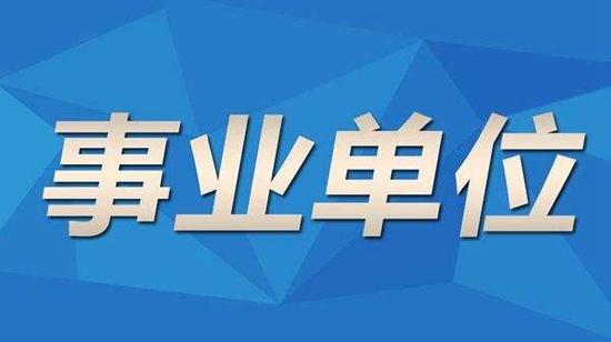 诸暨市统计局最新招聘启事概览