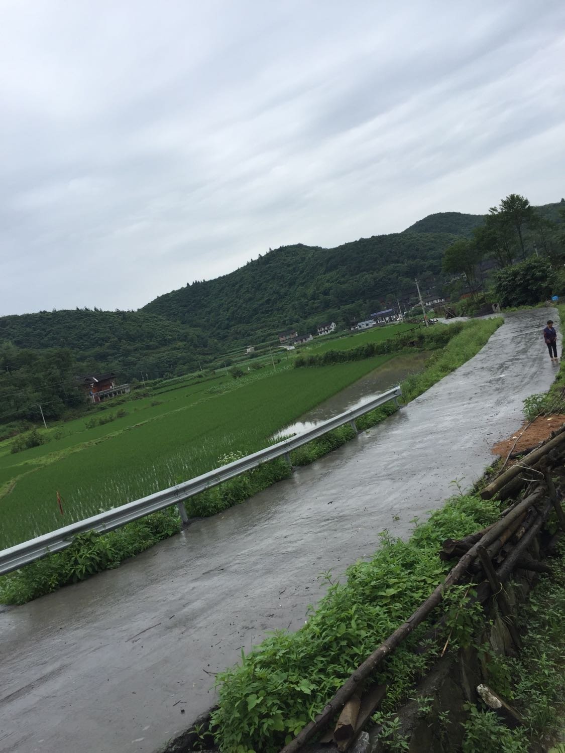 毛坝村委会天气预报更新通知