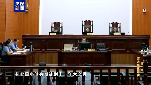 贪官办事大厅公然挑衅法治，腐败背后的个人收款码反思