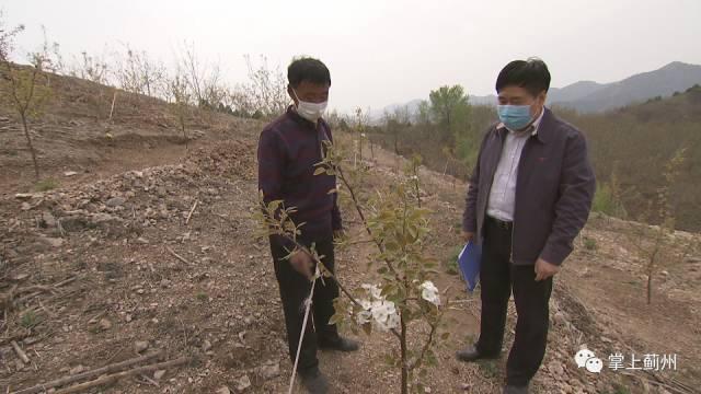 浙江村办分红大会揭秘，巨额红利与乡村振兴的联动故事