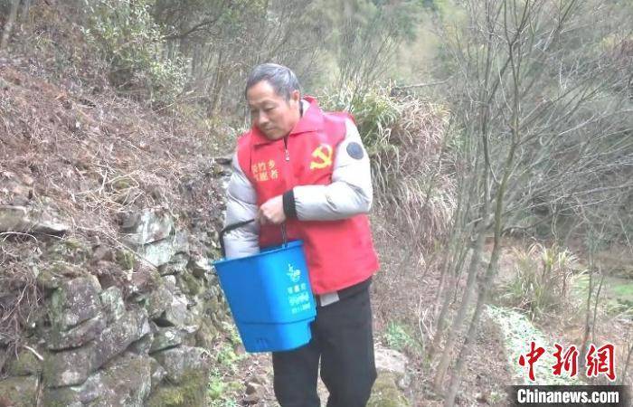 浙江惊现野猴群下山偷菜，引发广泛关注