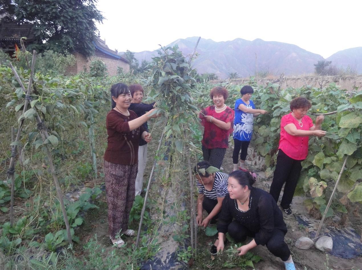 增期村交通新动态，迈向更便捷的未来