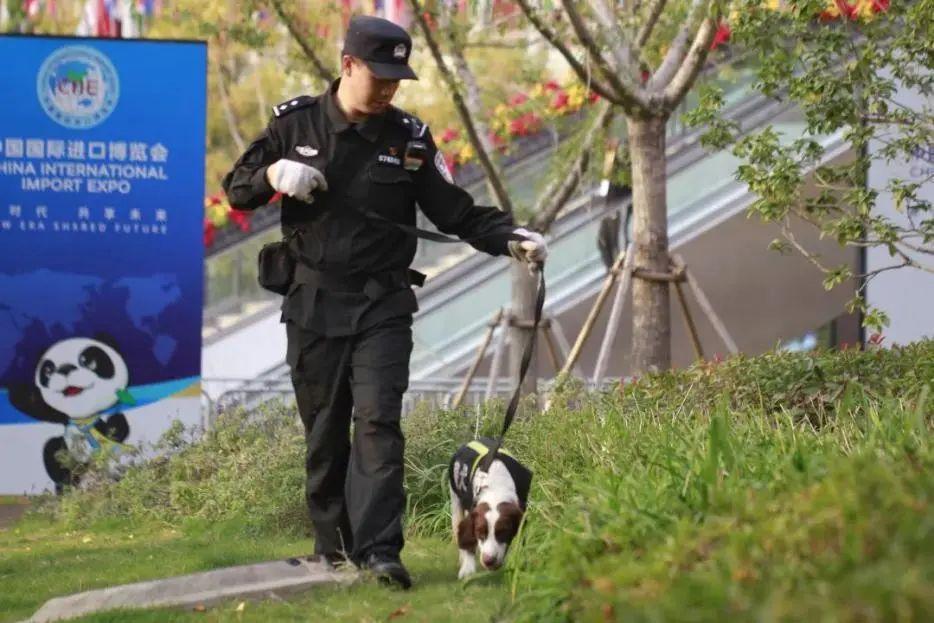 警犬幺幺零，一岁的成长与忠诚之旅