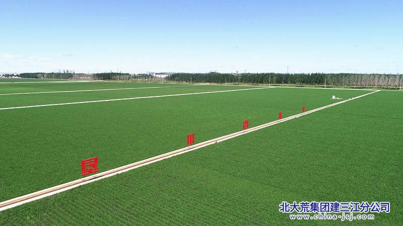 前进农场新项目引领农业现代化新潮流