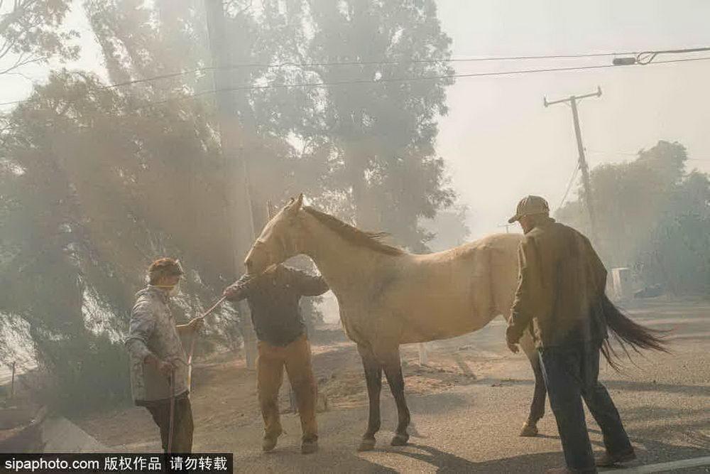 洛杉矶山火肆虐，灾难背后的反思与启示，街区化为灰烬的警示