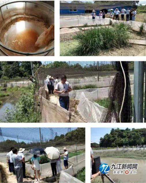 桂林街道重塑城市风貌，最新项目引领未来发展方向