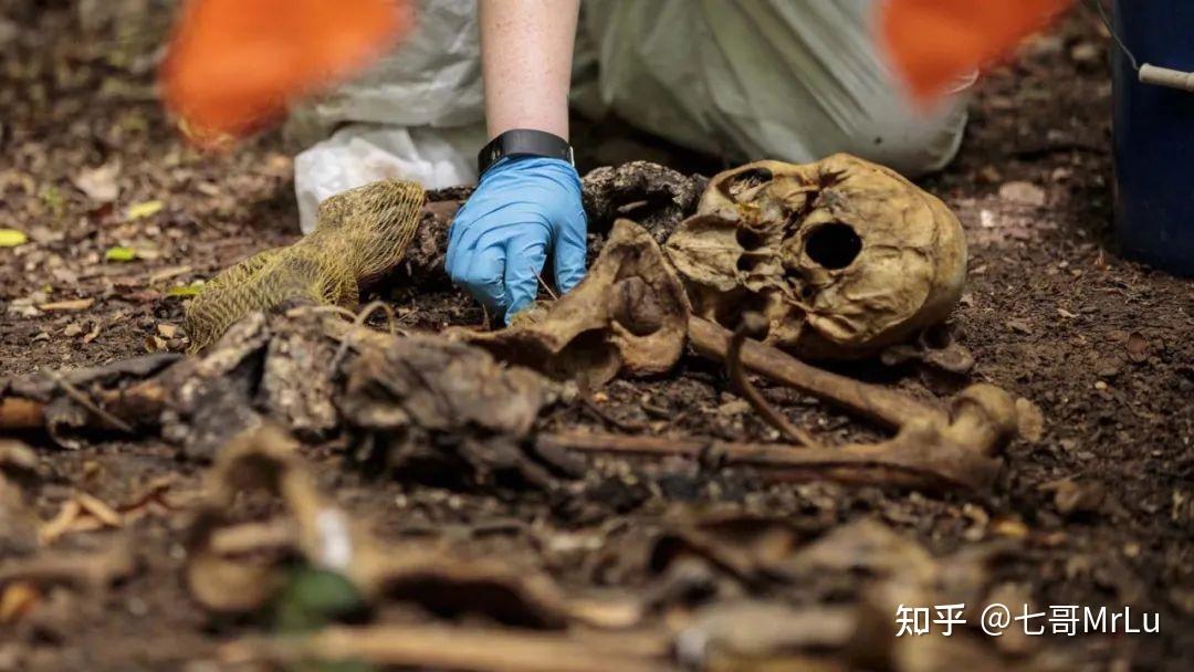 放射性剂量超标材料棺材与生物死亡后尸体的研究，探讨腐烂可能性与棺材材料的影响