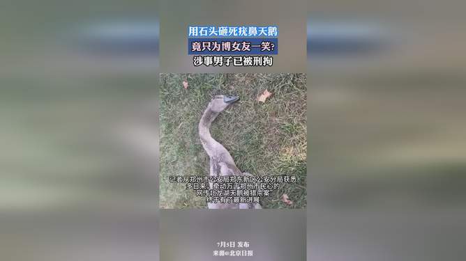 男子滥用杀虫剂毒死大量锦鲤引发生态破坏案，警方介入深度调查