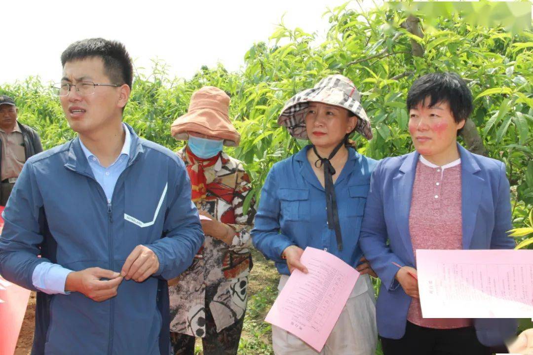 袁州区防疫检疫站最新项目，筑建健康安全防线防线