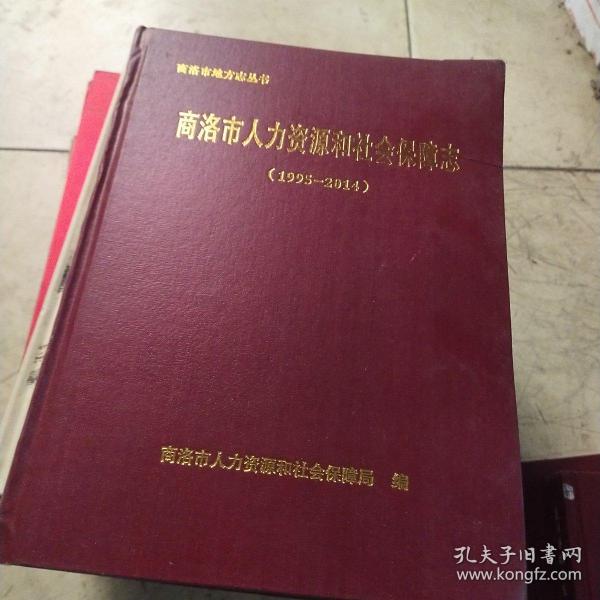 商洛市劳动和社会保障局发展规划，构建和谐社会，推动可持续发展新篇章