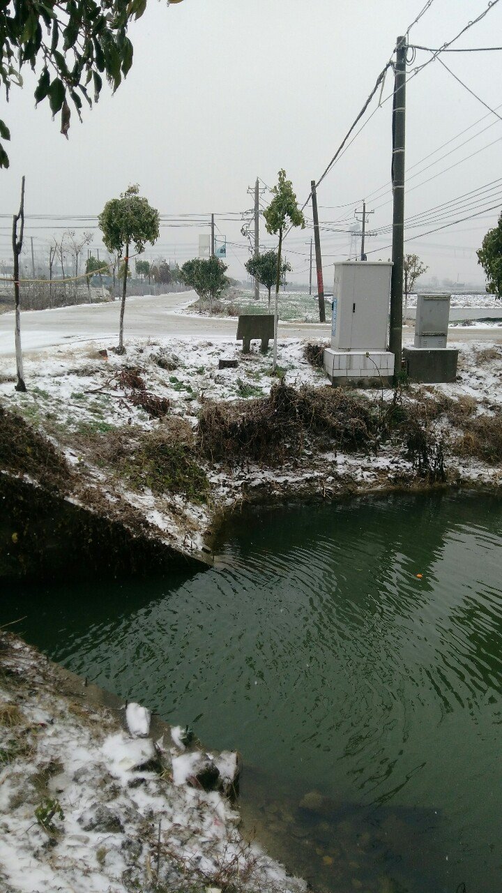 近湖镇天气预报更新通知