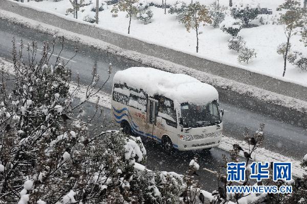 暴雪下的春运回家路，挑战与波折