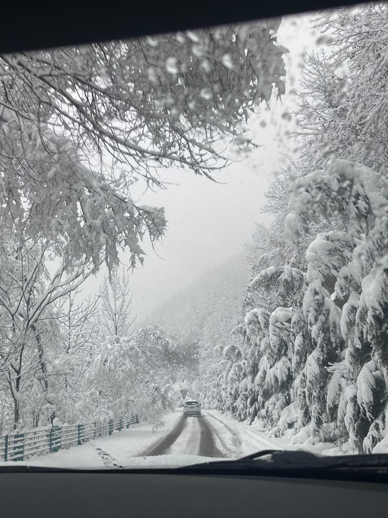 自驾返乡遇暴雪，电车困境与勇气之旅