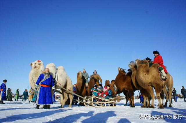 内蒙古草原骆驼群雪雕，极端天气的震撼瞬间