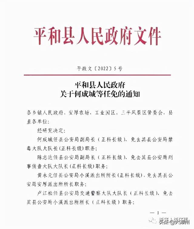 大岘村委会人事任命揭晓，开启村级治理现代化新篇章