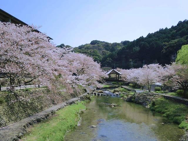 日本冷门旅行景区探秘，不为人知的绝美之地