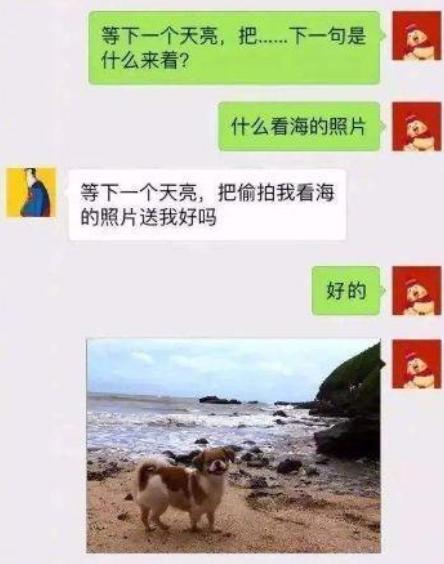 相亲对象意外现身，床边惊喜还是惊吓？