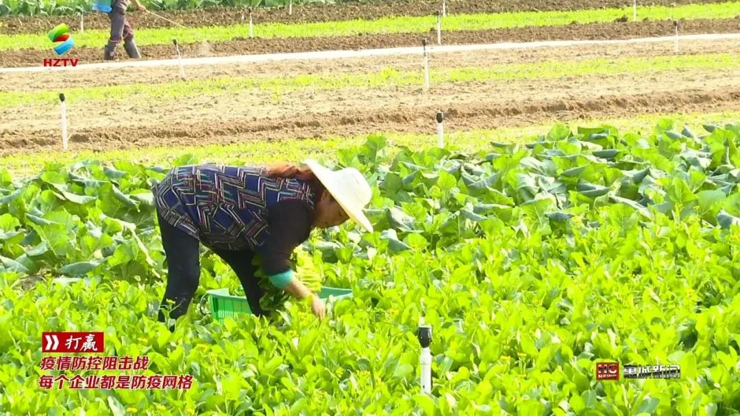 惠城区水利局最新动态报道