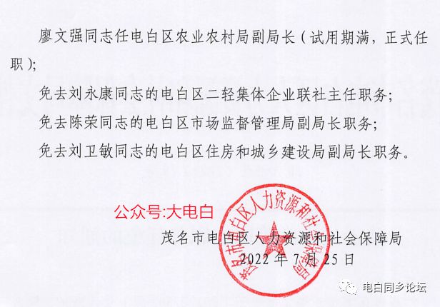 双树村委会人事任命完成，村级治理迎来新篇章