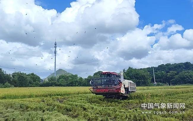 鉴湖镇最新交通动态报道