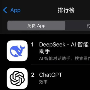 DeepSeek手机版安全使用指南