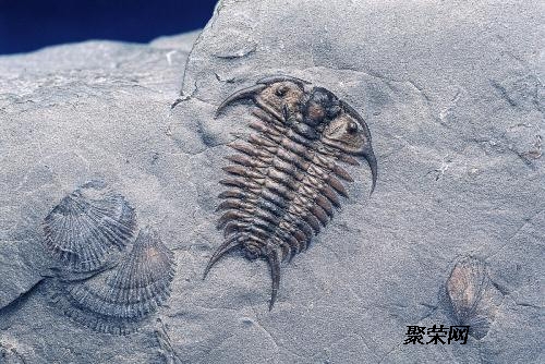 现代遗体处理技术与智慧生物发现之旅