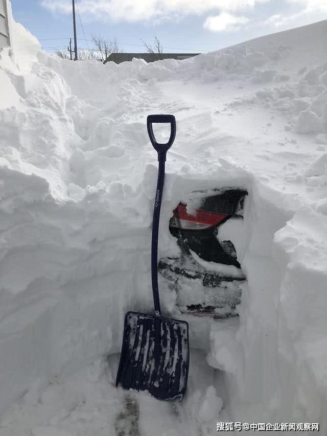 加拿大华人面临暴雪与心理挑战，抑郁与应对策略